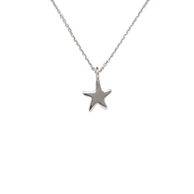 Stern-Anhänger mit Kette Silber