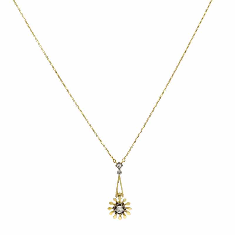 Brillant-Collier Bicolor